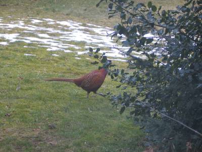 first glimpse through window